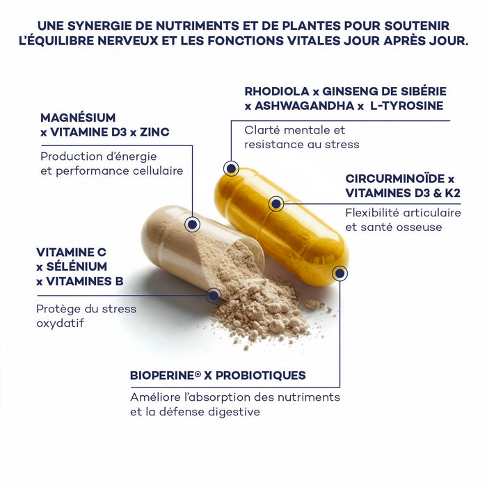 Impulso Matutino de Rutina