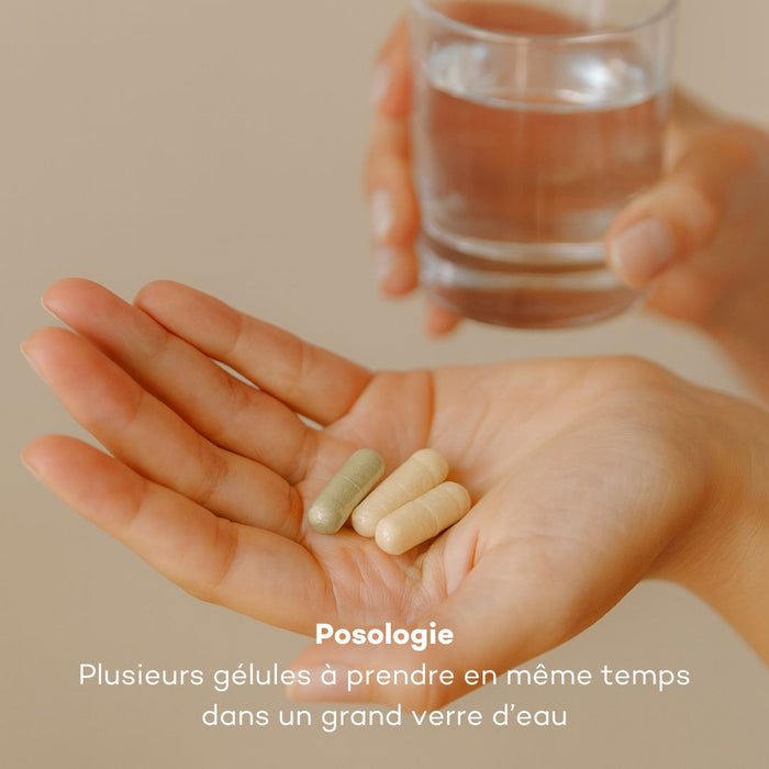 Rutina Vientre Plano