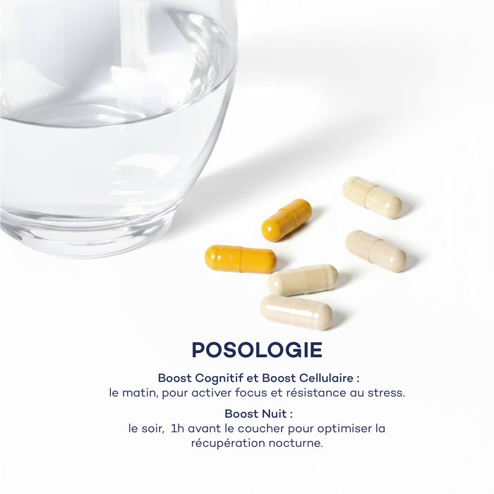 Impulso Diario de Rutina