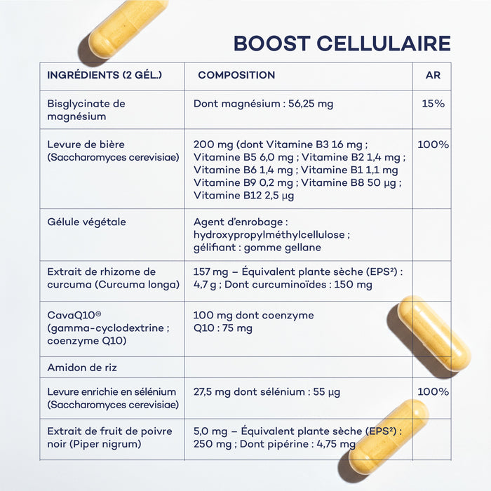 Impulso Diario de Rutina