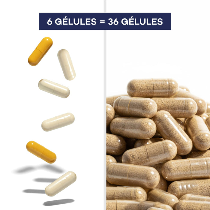 Impulso Diario de Rutina