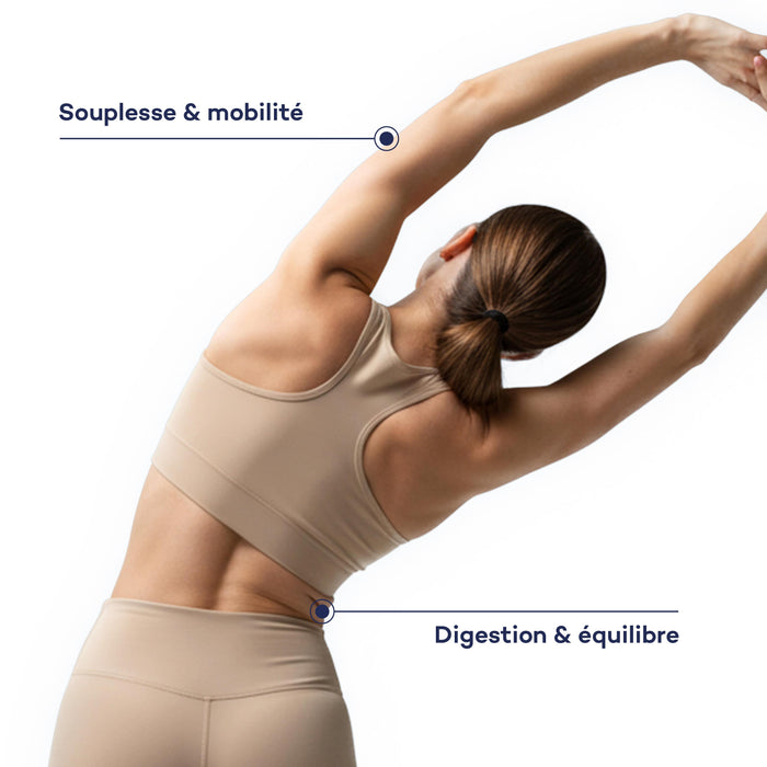 Impulso Diario de Rutina