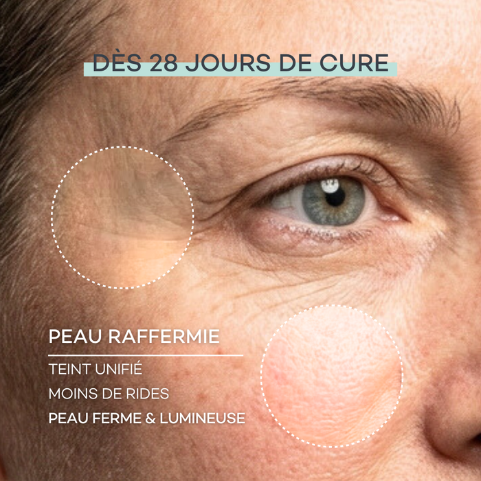 Pro-Collagen Nueva Piel 28 Bastones