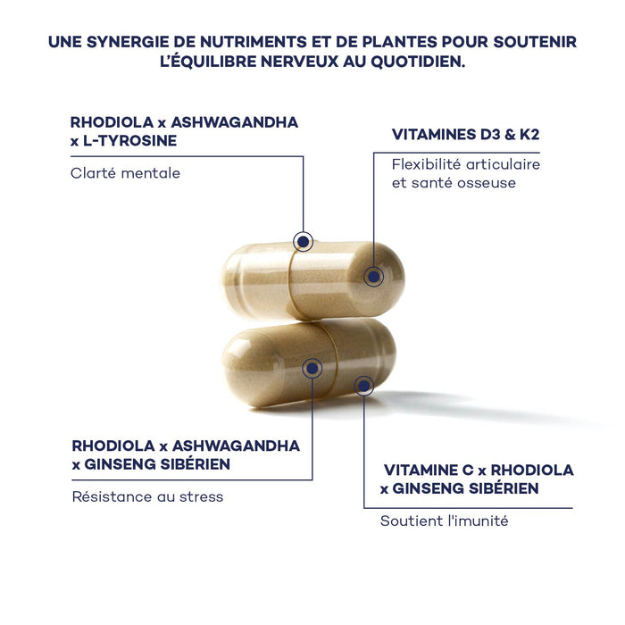 Impulso Matutino de Rutina