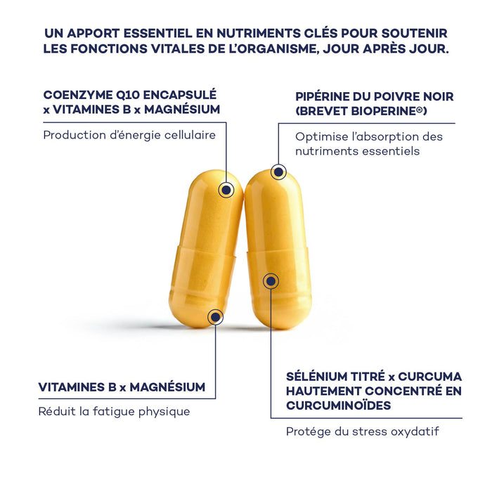 Impulso Matutino de Rutina