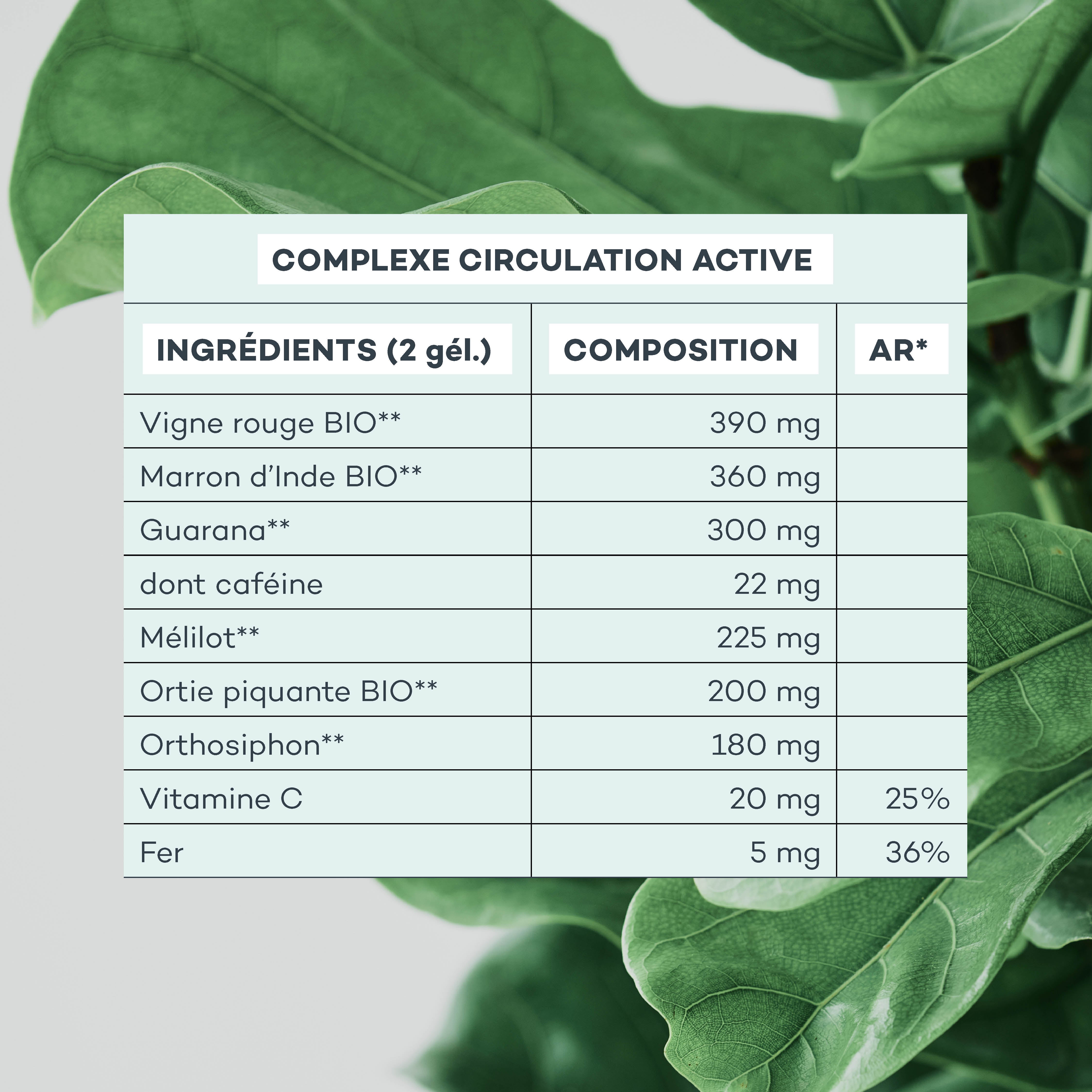 ingrédients complexe circulation active