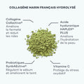 Ingrédients Pro-Collagène Matcha