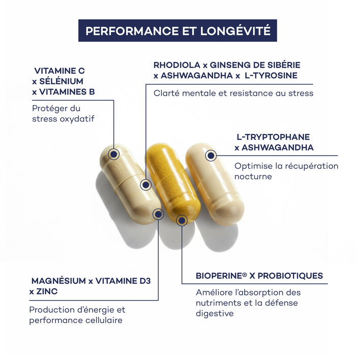 Impulso Diario de Rutina