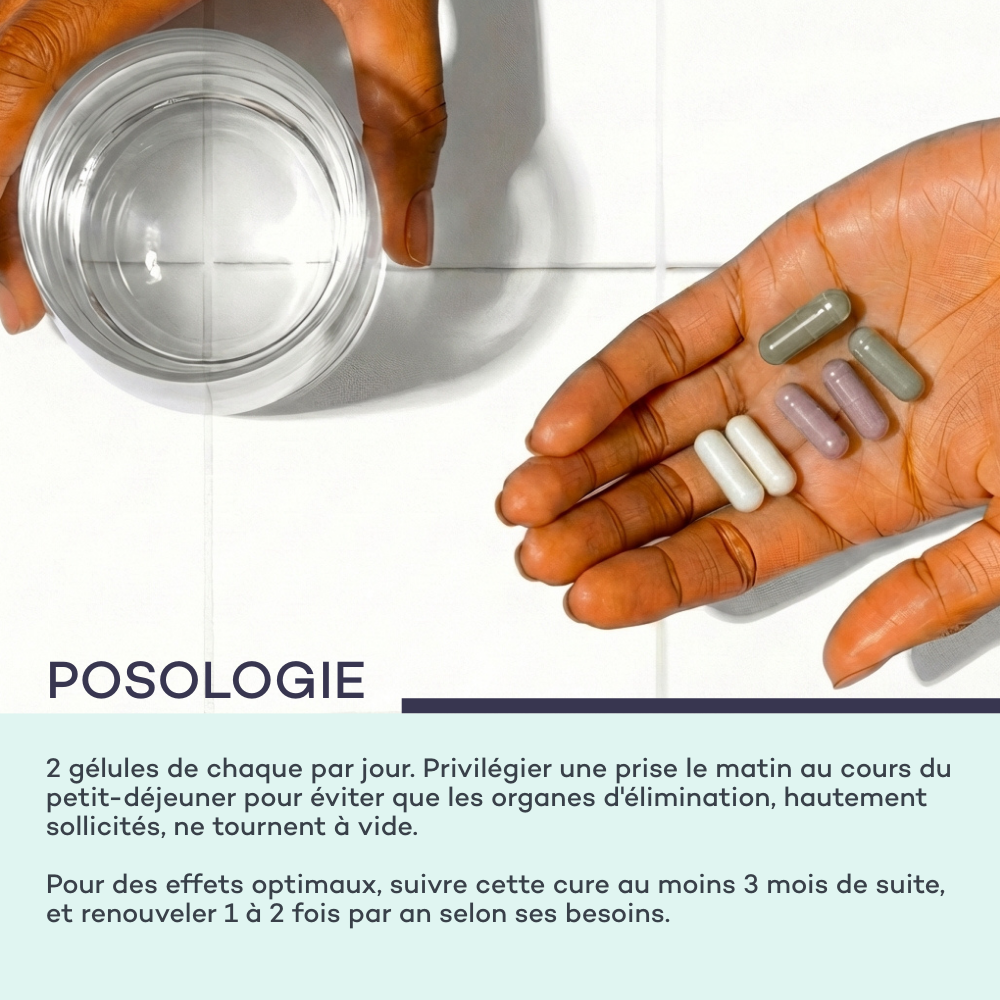 Programa Abdomen Plano