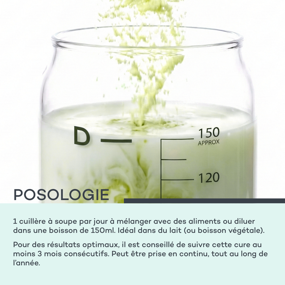 Palitos Piel Nueva - Matcha