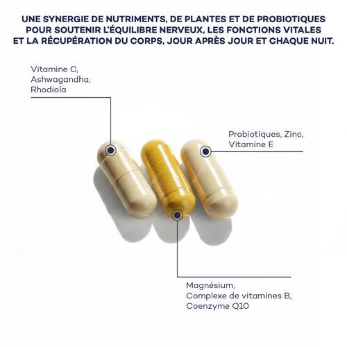 Impulso Diario de Rutina