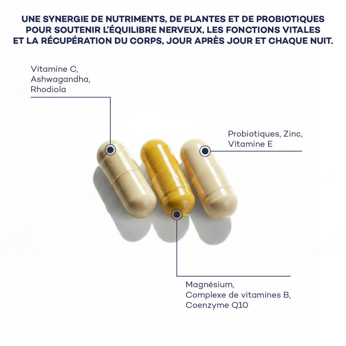 Impulso Diario de Rutina
